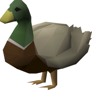 Duck (Kourend Woodland)